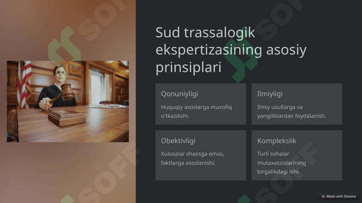 Sud trassalogik ekspertizasi 3