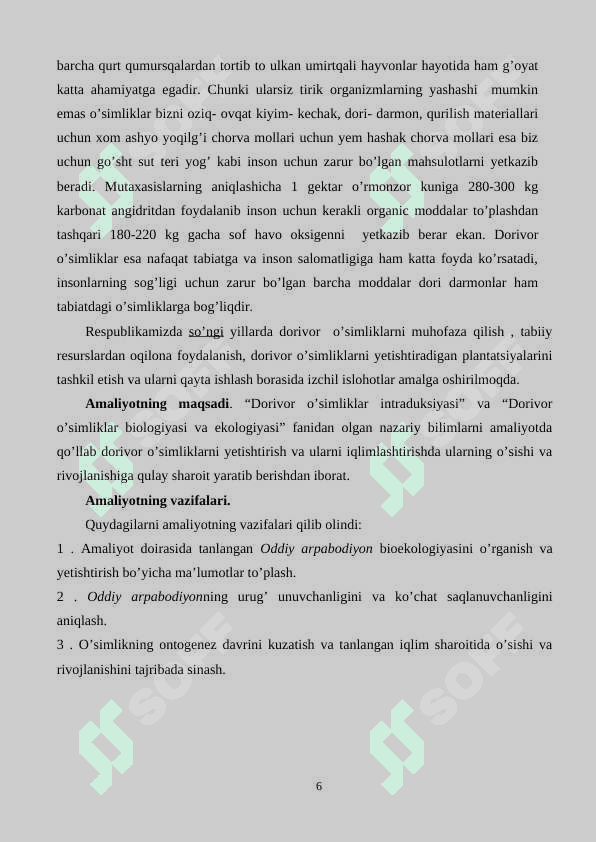 Oddiy arpabodiyon yetishtirish texnologiyasi 6