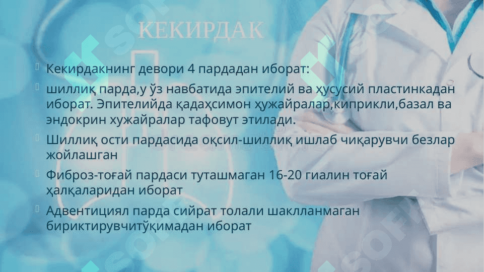 Nafas olish sistemasi tuzilishi 8
