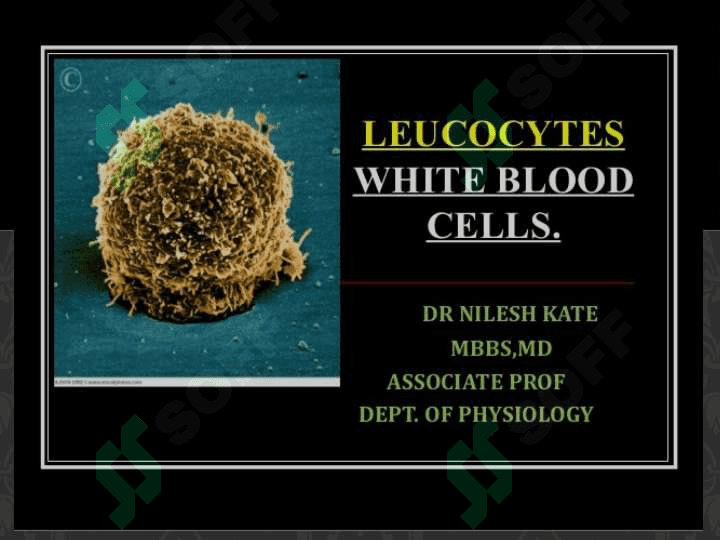 LEUKOCYTES WHITE BLOOD CELLS 2