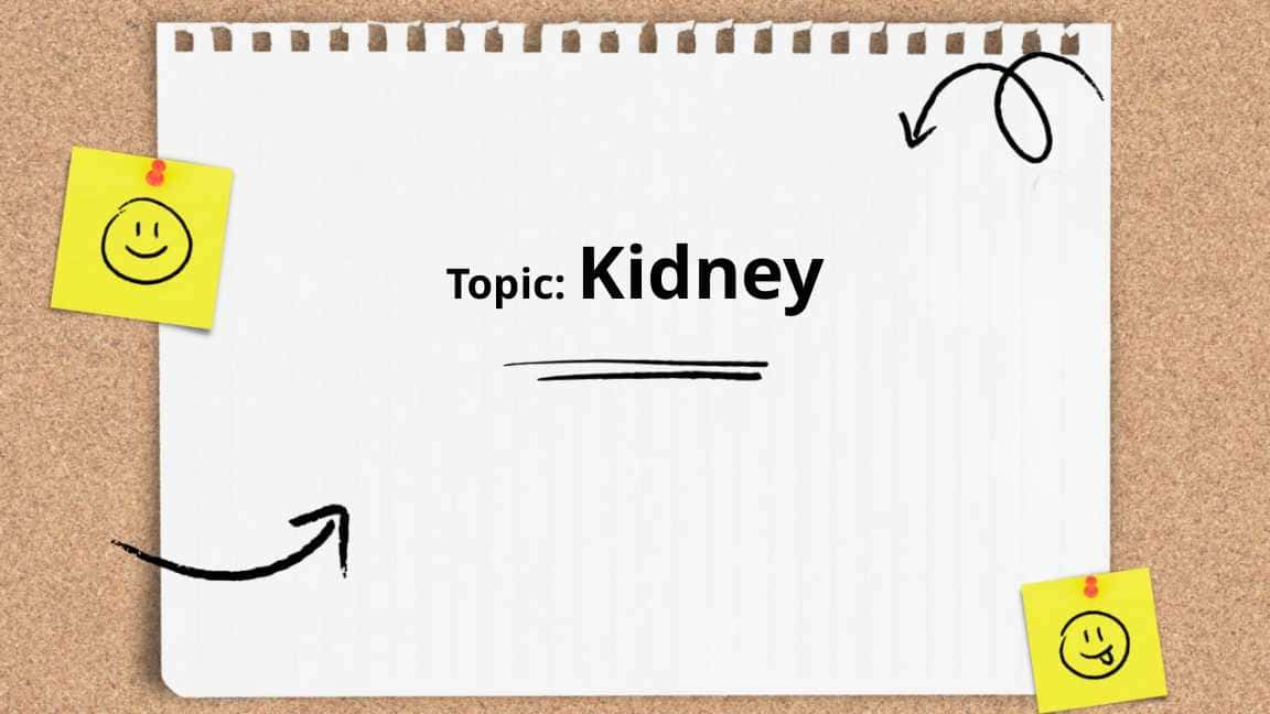 Kidney
