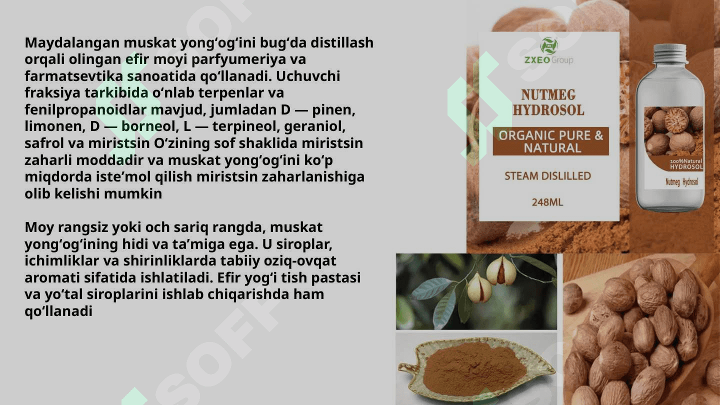 Dorivor daraxt o’simliklari haqida 4