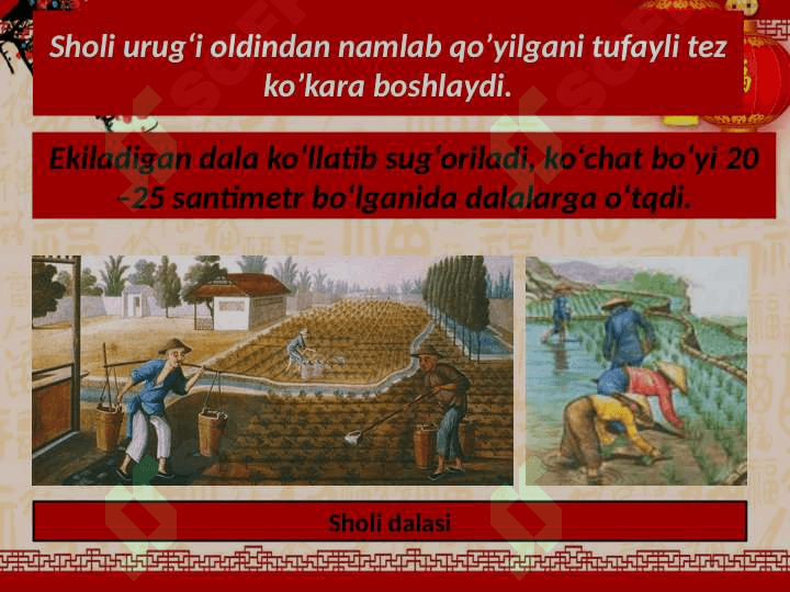 Xitoyning qadimgi sivilizatsiyalari 4