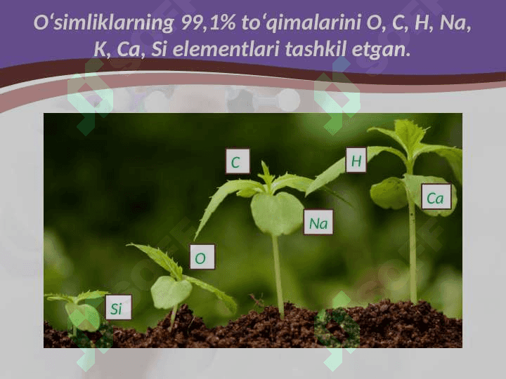 Biogen elementlar va ularning tirikorganizmlardagi ahamiyati 3