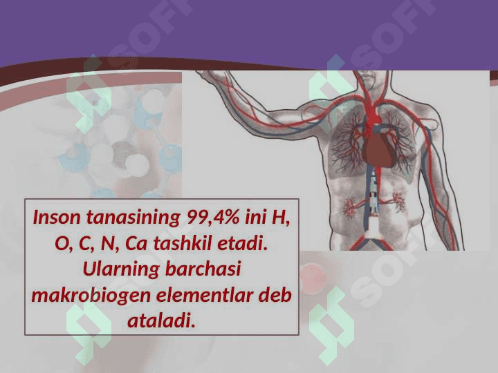 Biogen elementlar va ularning tirikorganizmlardagi ahamiyati 4