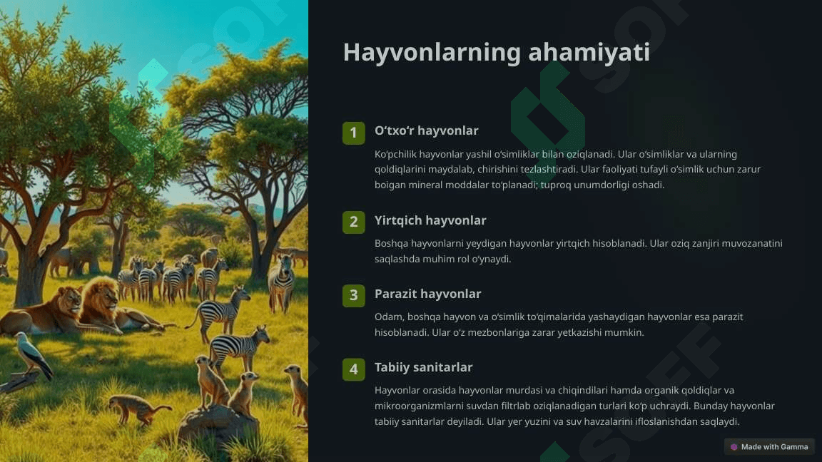 HAYVONOT OLAMINING XILMA-XILLIGI VA UNING TABIATDA TUTGAN O’RNI 2