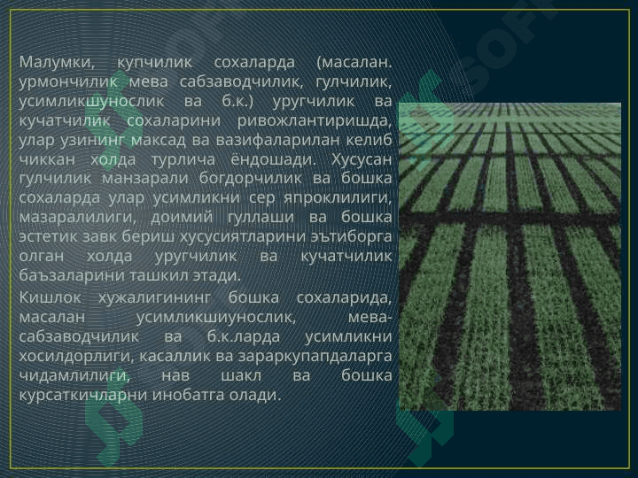 Уруғларнинг экиш сифатини аниқлаш 3