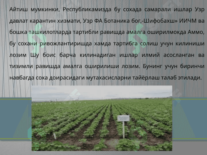 Уруғларнинг экиш сифатини аниқлаш 4