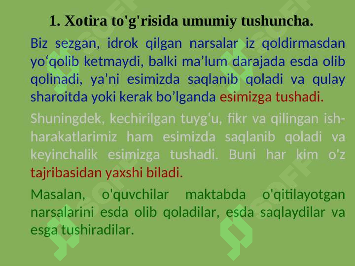 XOTIRA 2
