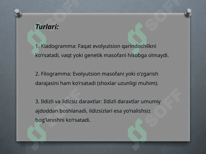 Filogenetik daraxt biologiya 4