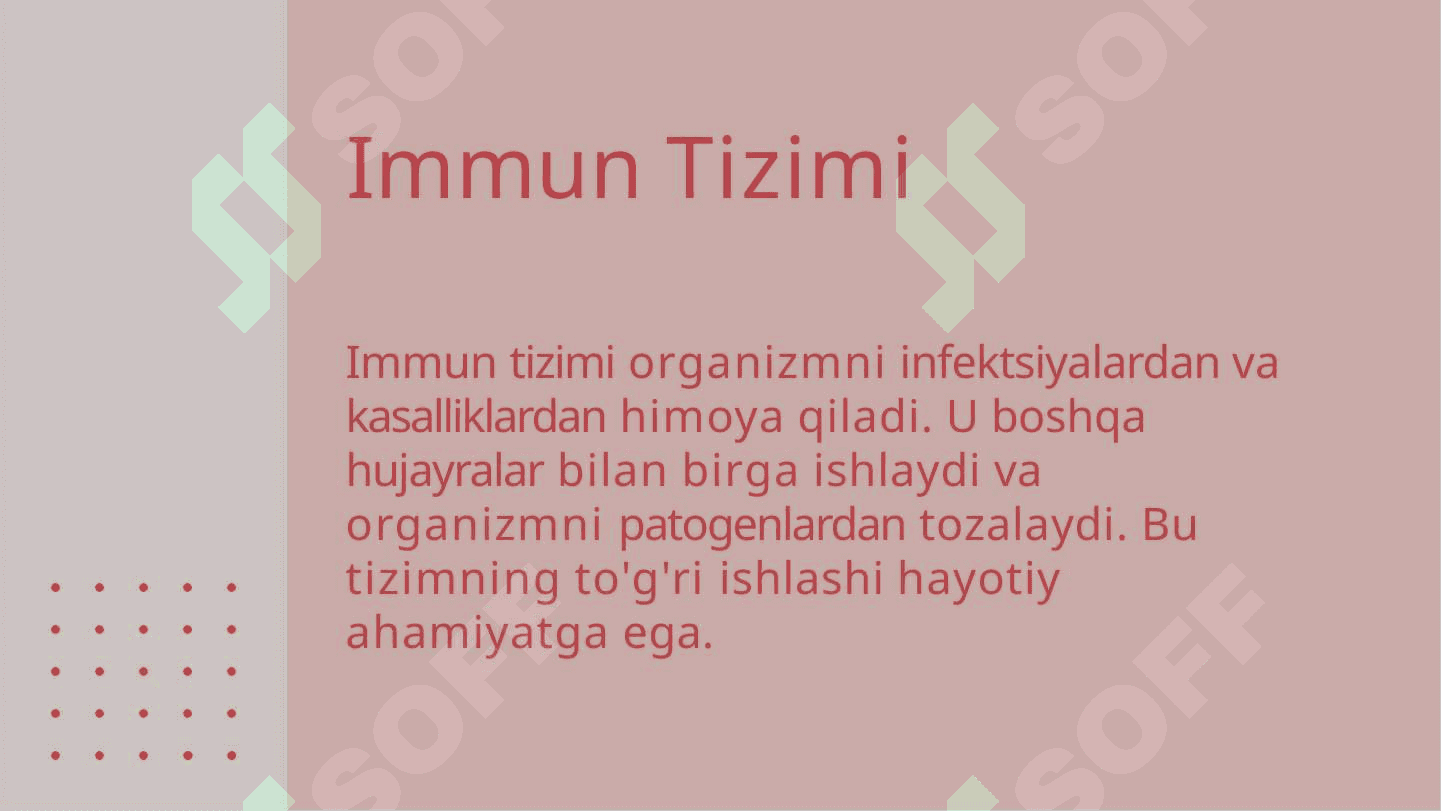 Qon yaratuvchi va immun ximoya a'zolari 4