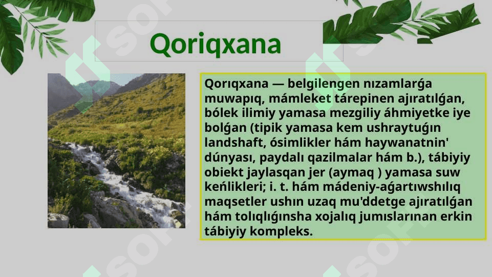 O'zbekistanda qorg'alatug'in aymaqlar 3