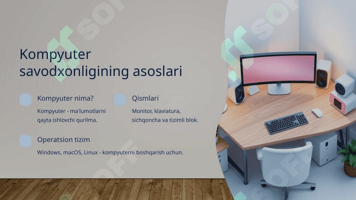 Kompyuter savodxonligi va internet brauzeri 2