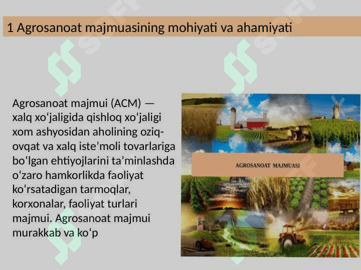 Agrosanoat majmuasi 2