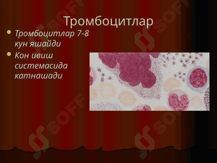 Anemiyalar Анемиялар 6