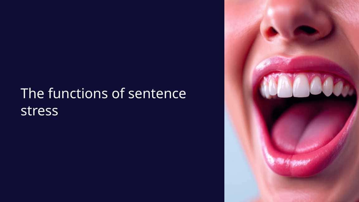 The functions of sentence stress