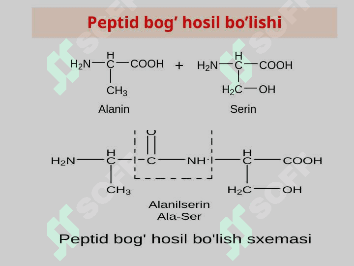 Peptidlar va oqsillar tuzilishi va xossalari 4