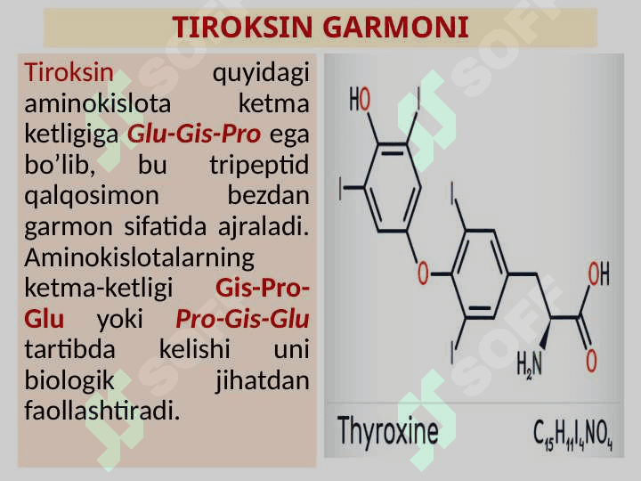 Peptidlar va oqsillar tuzilishi va xossalari 5