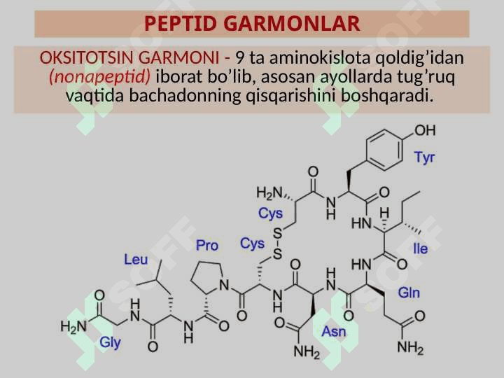 Peptidlar va oqsillar tuzilishi va xossalari 6