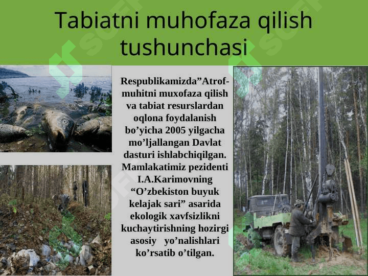 O’zbekiston tabiat yodgorliklari va ularning xillari 3