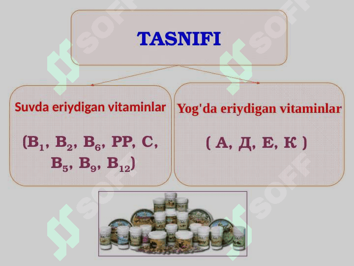 Vitaminlar 6