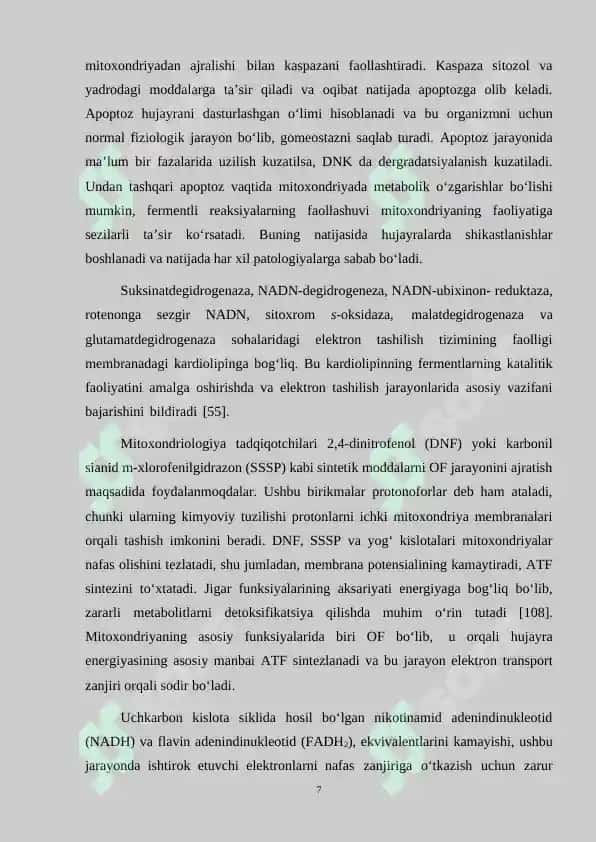 Kalamush jigar mitoxondriya disfunksiyasiga ayrim biofaol moddalar ta’siri 7