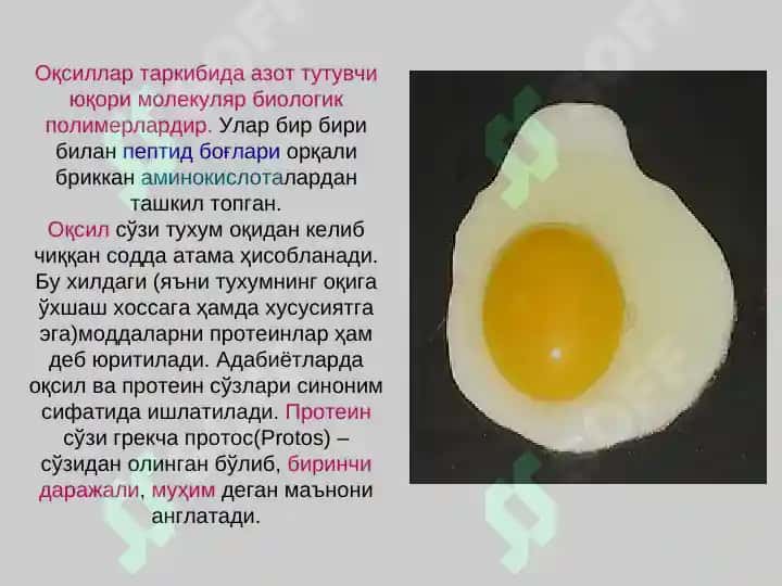 Oqsillar yoki Protoinlar 2