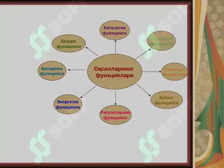 Oqsillar yoki Protoinlar 4