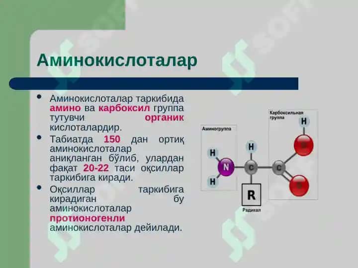 Oqsillar yoki Protoinlar 5