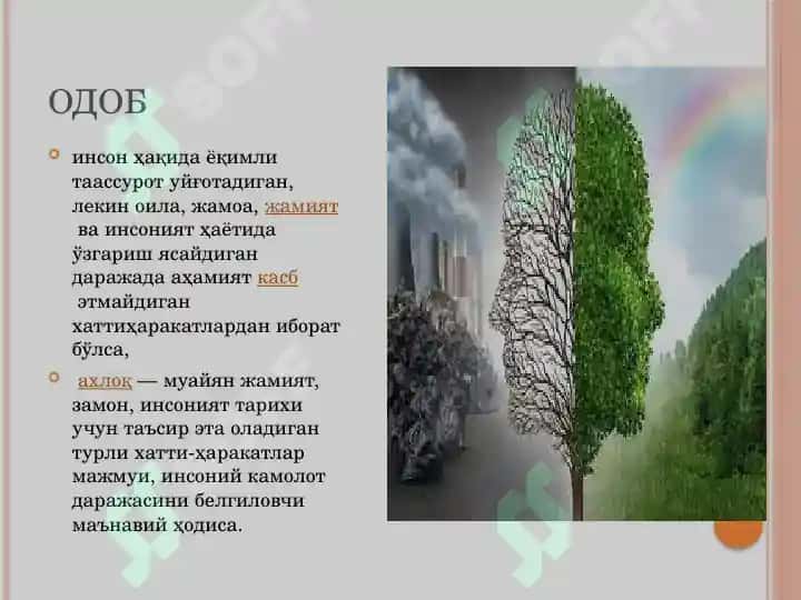 Инсон хулқ-атвори ва ижтимоий муҳит фанига кириш 3