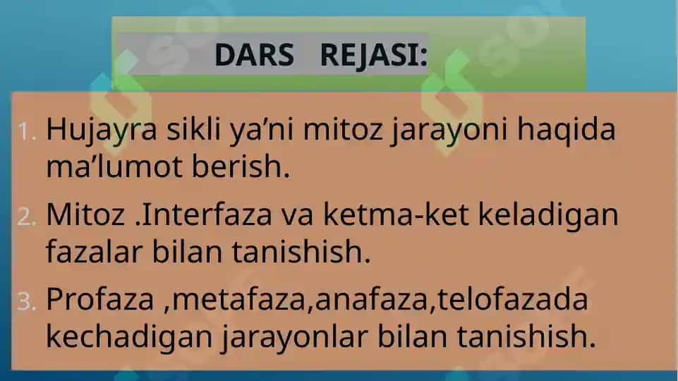 Biologiya ochiq dars Mavzu: Mitoz jarayoni 2