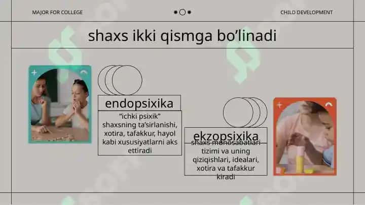 Shaxs 3