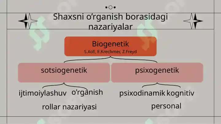 Shaxs 6