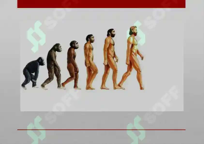 Homo Sapiensning Evolyutsiyasi 2