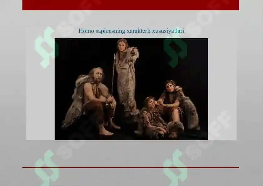 Homo Sapiensning Evolyutsiyasi 4