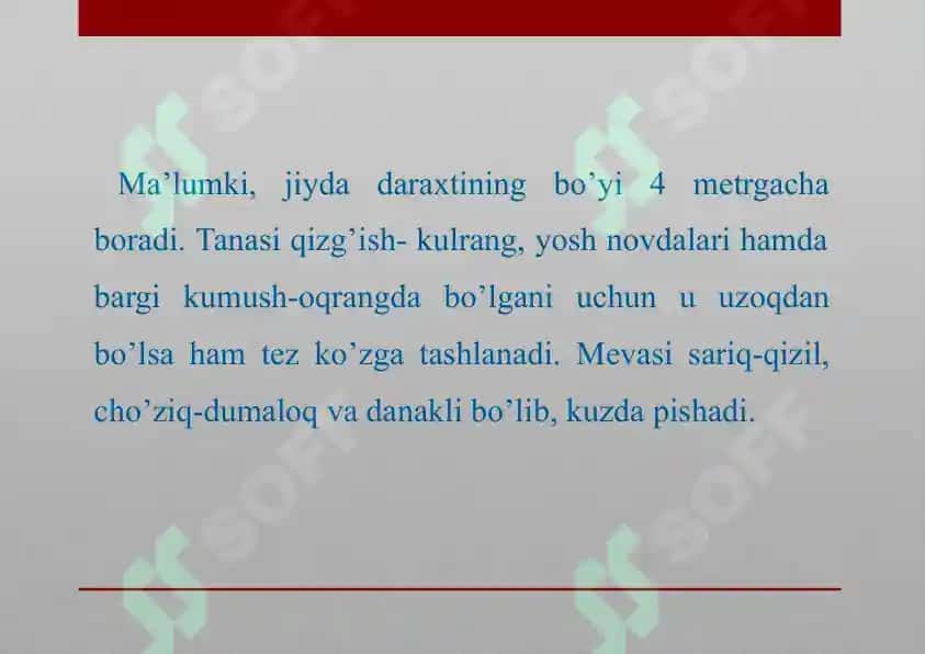 Jiydanamolar oilas 2