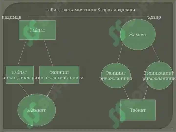 ТАБИАТ ФАЛСАФАСИ 3