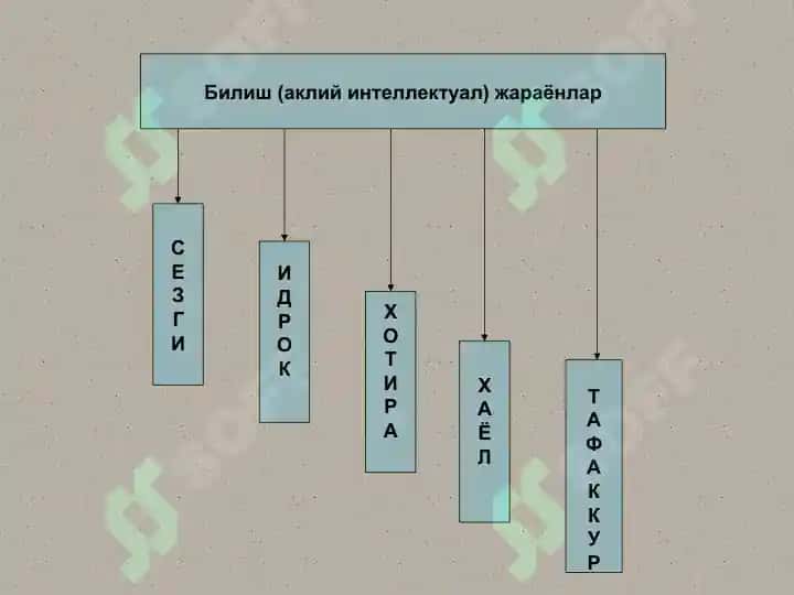 Sеzgi va qarash 2