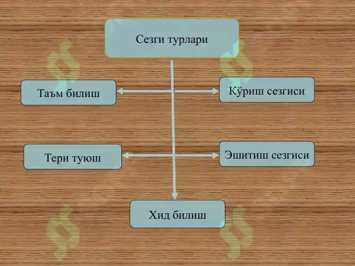 Sеzgi va qarash 4