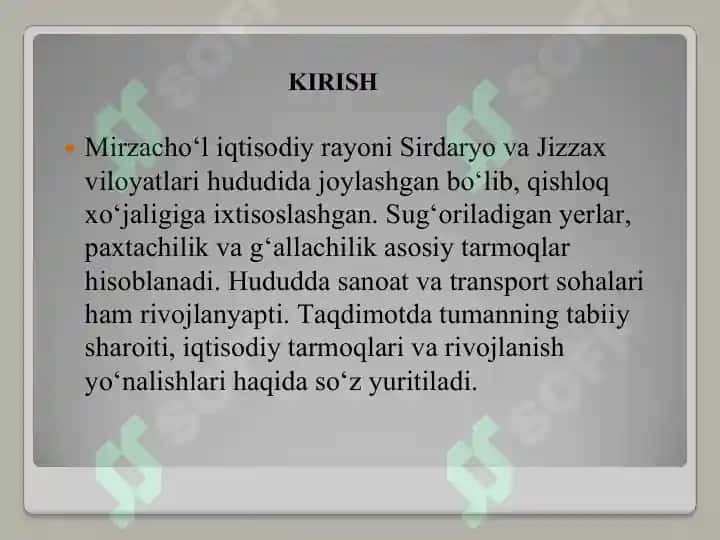 Mirzacho'l iqtisodiy rayoni 2