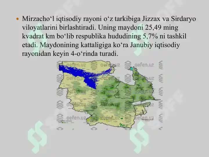 Mirzacho'l iqtisodiy rayoni 3