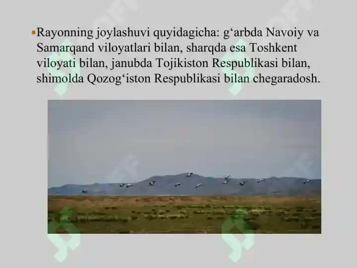 Mirzacho'l iqtisodiy rayoni 4