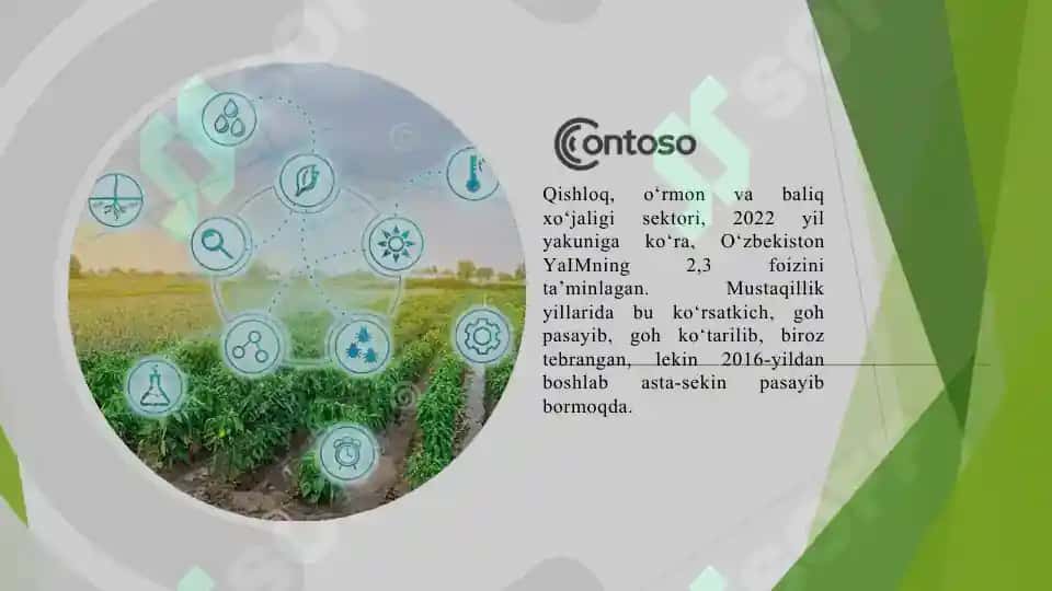 O‘zbekiston qishloq xo‘jaligi xaritasini tahlil qilish 3