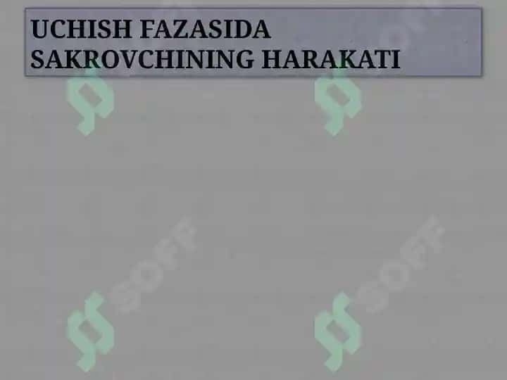 Uchish fazasida sakrovchining harakti 2
