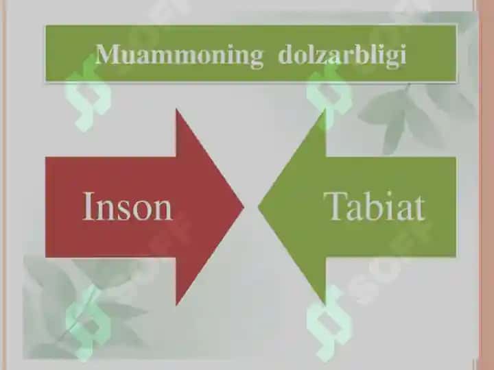 Insan ekologiyasi 4