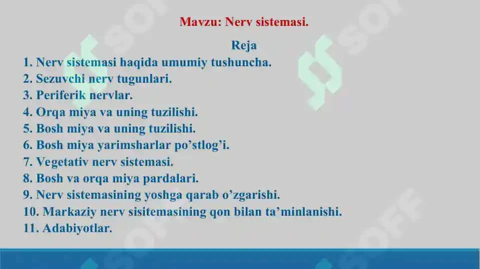 Nerv sistemasi. Taqdimot 38 bet. 2