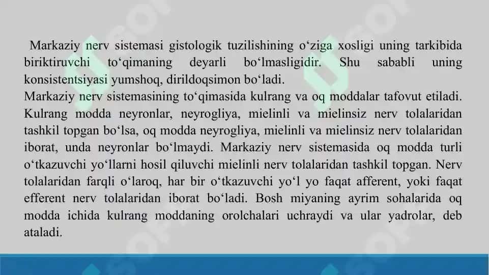 Nerv sistemasi. Taqdimot 38 bet. 4