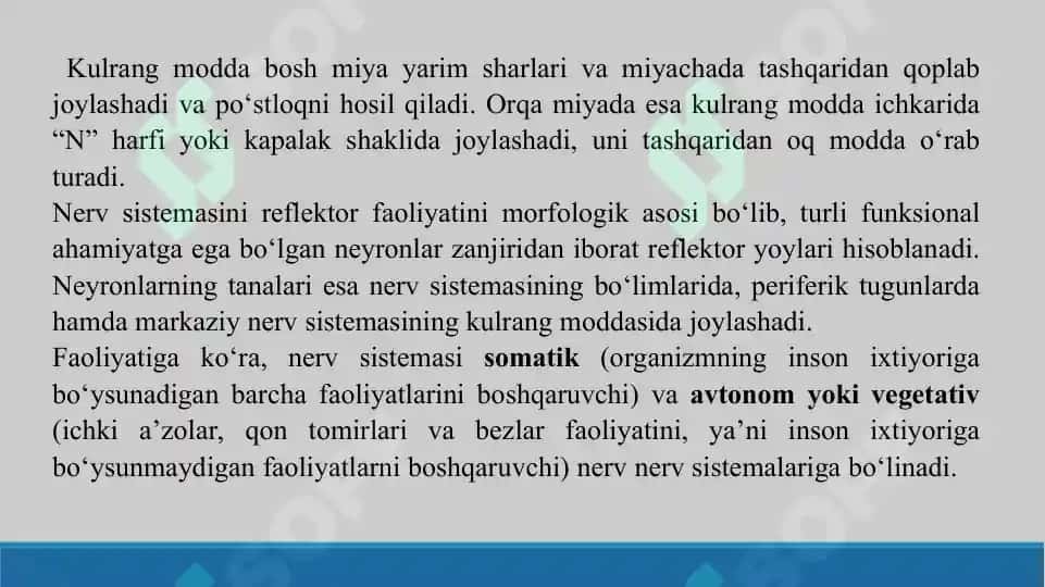 Nerv sistemasi. Taqdimot 38 bet. 5