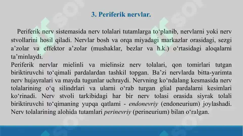 Nerv sistemasi. Taqdimot 38 bet. 8