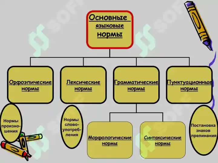 Языковая норма и её виды. 3
